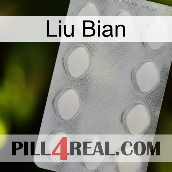 Liu Bian 16